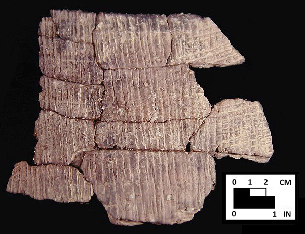 Accokeek S-twist cord-marked sherds from Hallowing Point site 18CV31, SI Cat.# 401960-Courtesy of the Smithsonian Institution, Museum of Natural History, Department of Anthropology.